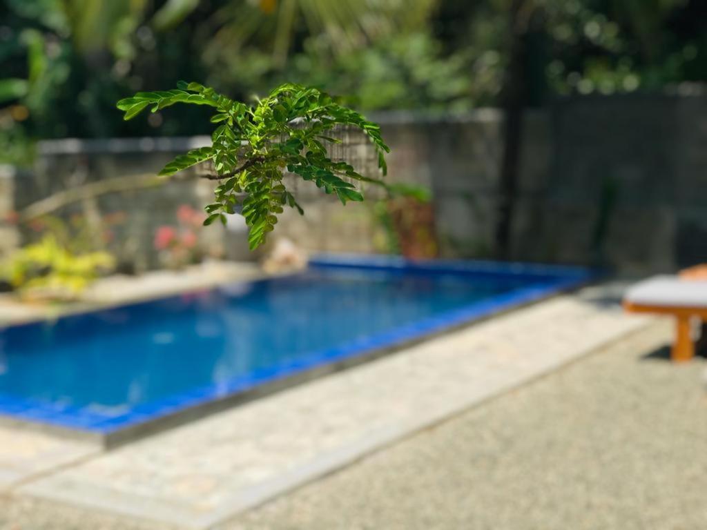 Peaceful Green Villa อูนาวาตูนา ภายนอก รูปภาพ