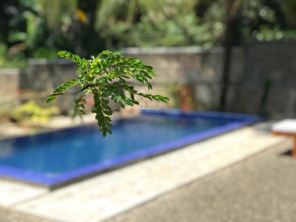 Peaceful Green Villa อูนาวาตูนา ภายนอก รูปภาพ